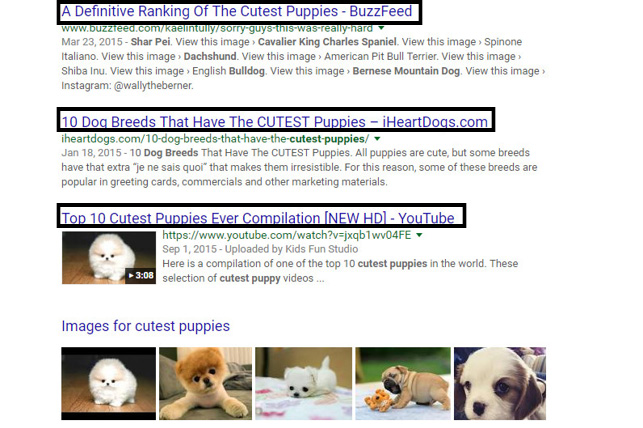 photo of a search engine result page with title tags circled. 