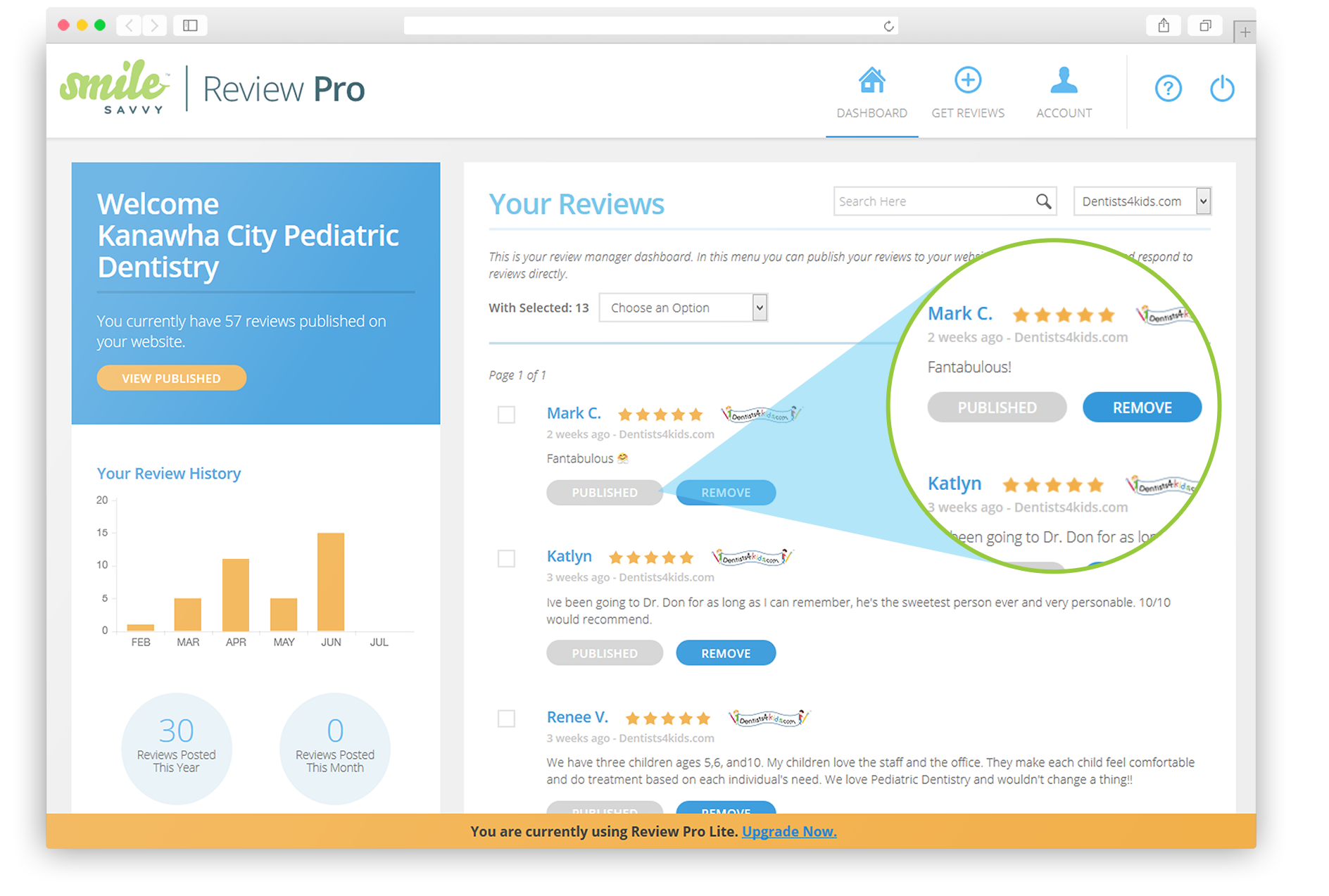 Review Pro Lite and Publishing Online