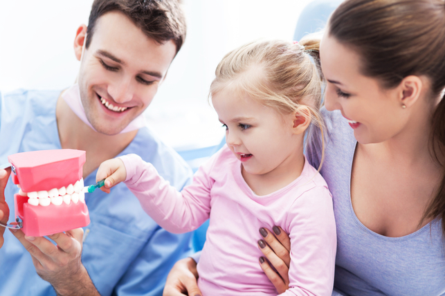 dentist teaching young girl about teeth