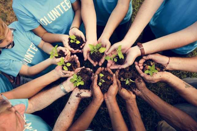 Group of volunteers holding plants in their hands formed in a circle. 