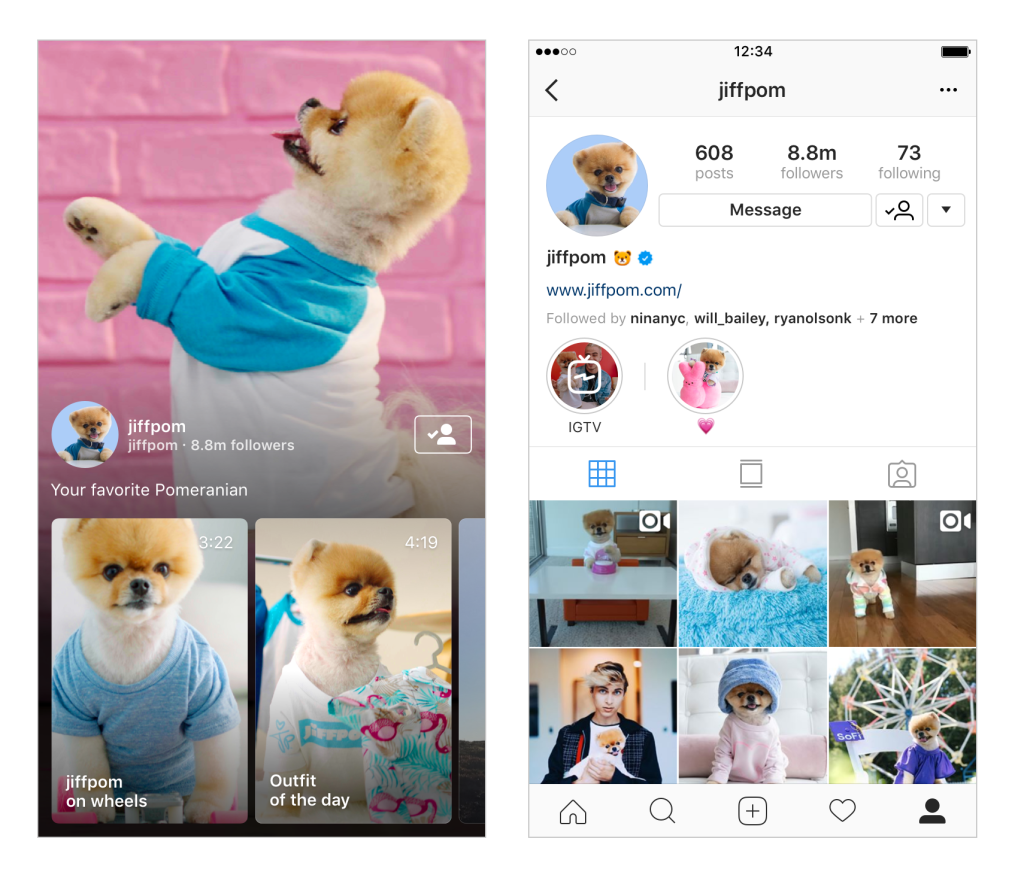 Jiffpom on IGTV